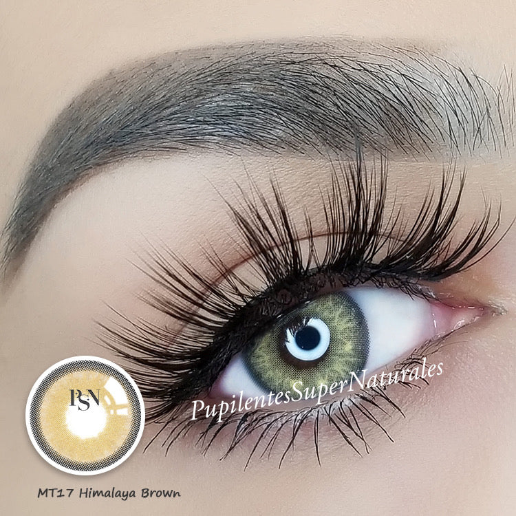 Pupilente Himalaya Brown