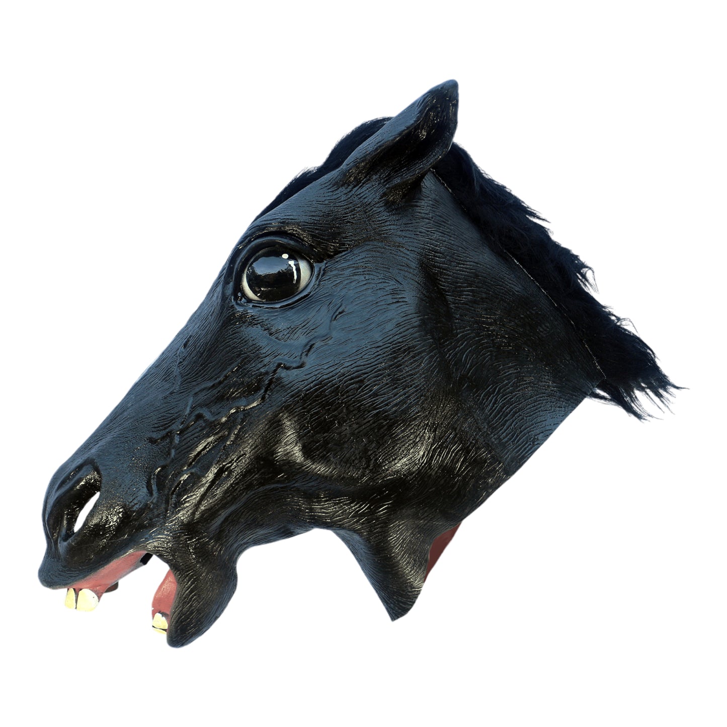 Mascara Caballo Negro