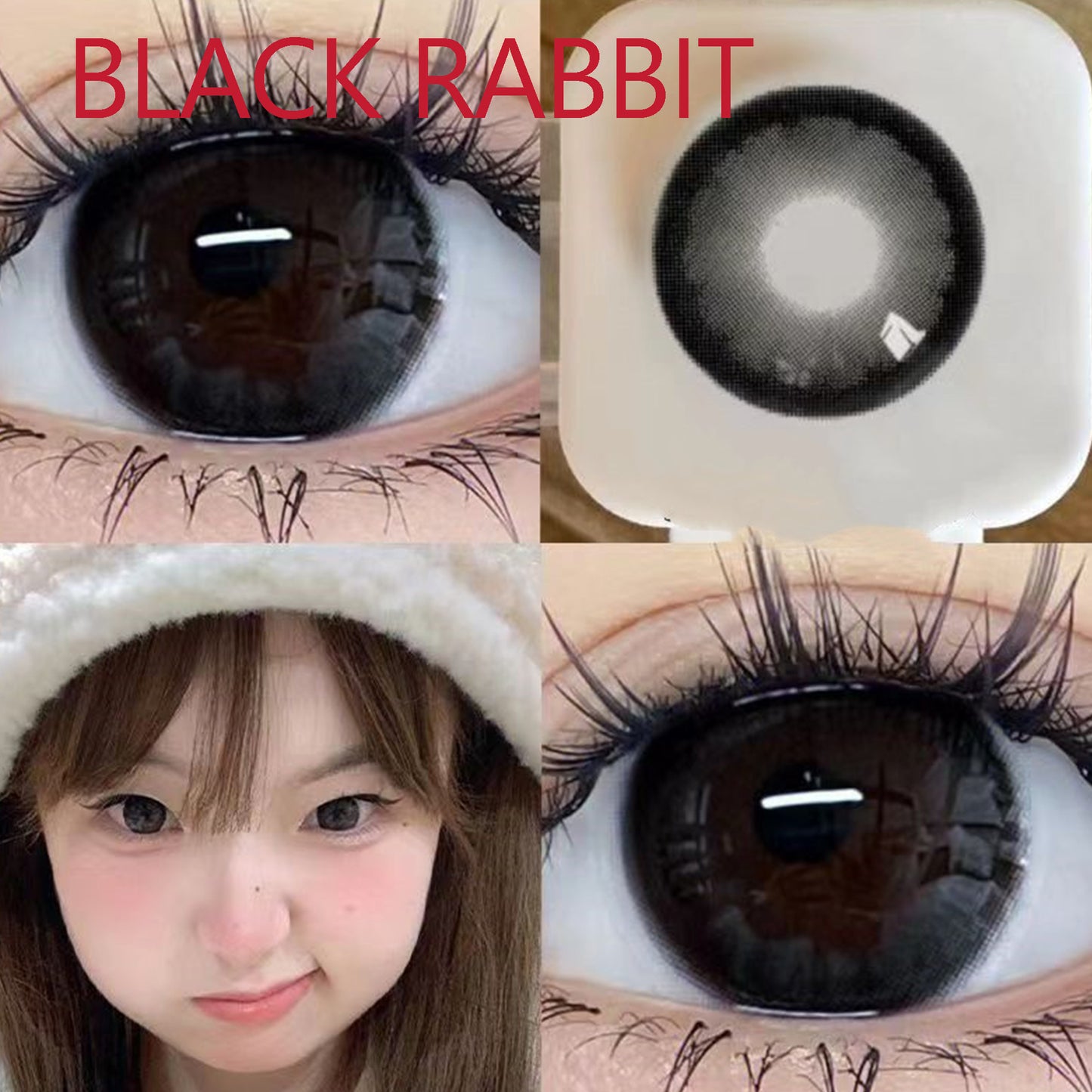 Pupilente  Black Rabbit