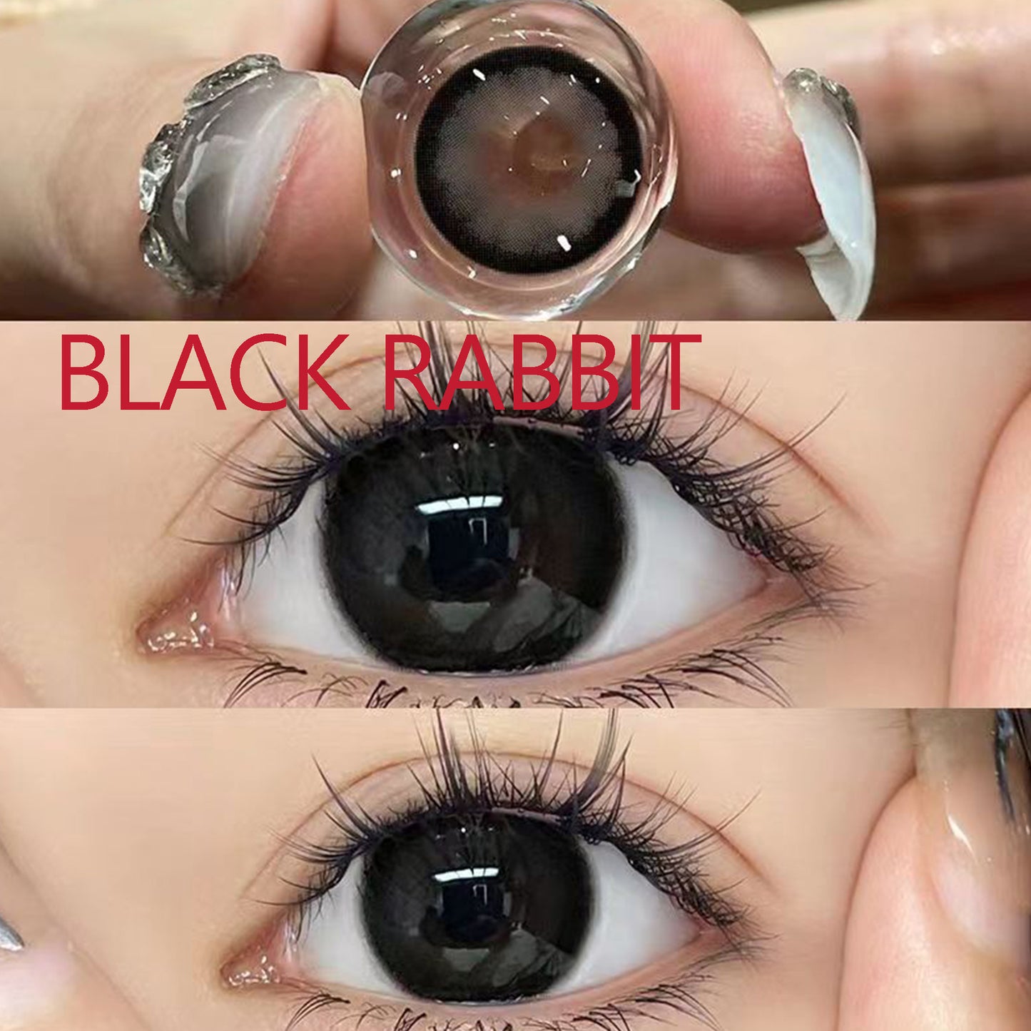 Pupilente  Black Rabbit