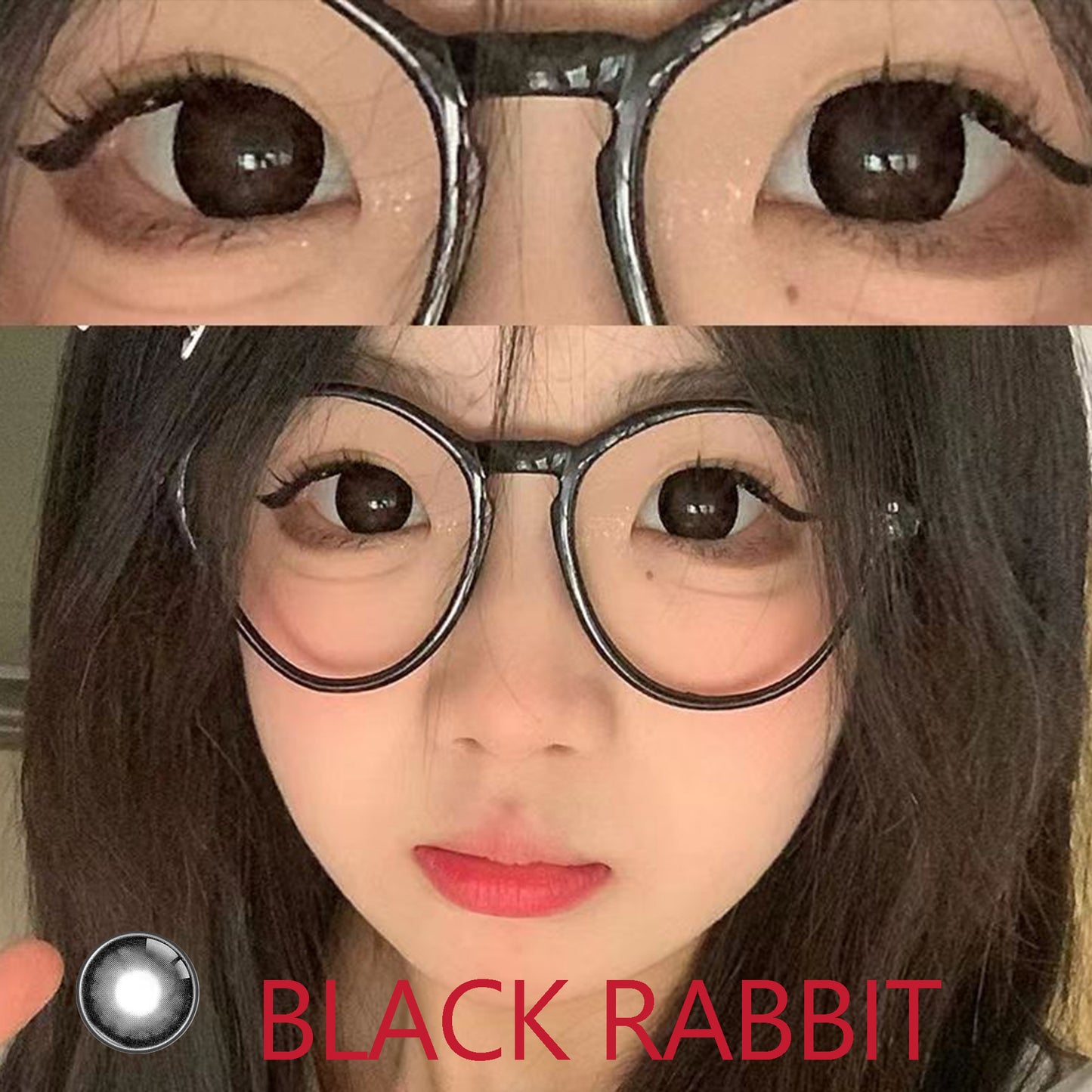 Pupilente  Black Rabbit