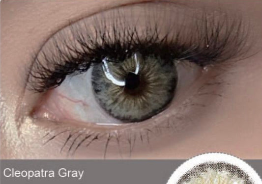 Pupilente Cleopatra Gray