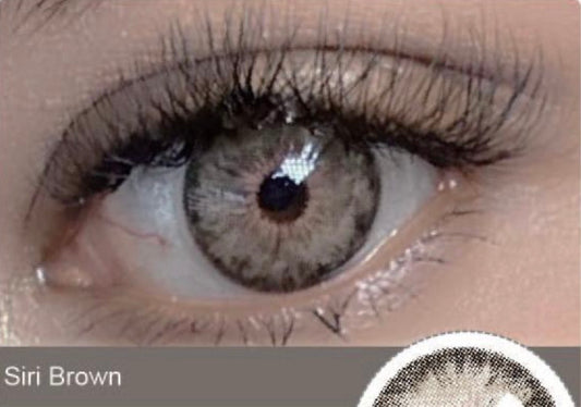 Pupilente Siri Brown