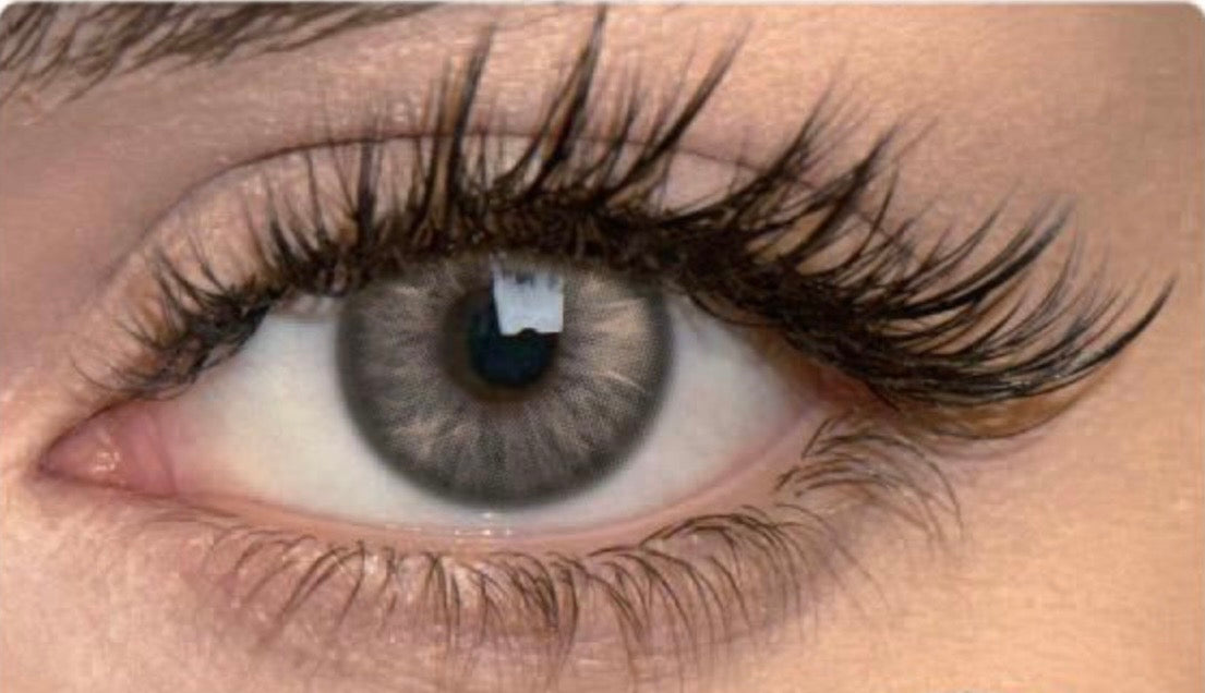Pupilente PEARL Brown