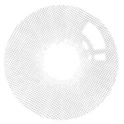 Pupilente Aurora Gray