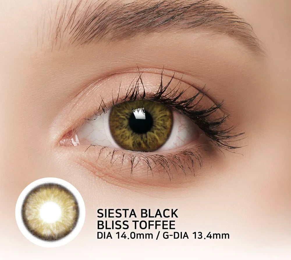 Pupilente Siesta Black Bliss Tofee
